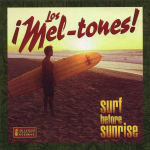 lsmelcd2.jpg (7588 bytes)