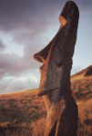 moai1150.jpg (4458 bytes)